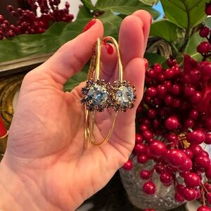 TOVA HOOPS EARRINGS - Bianca Hoops in Watermelon NWT